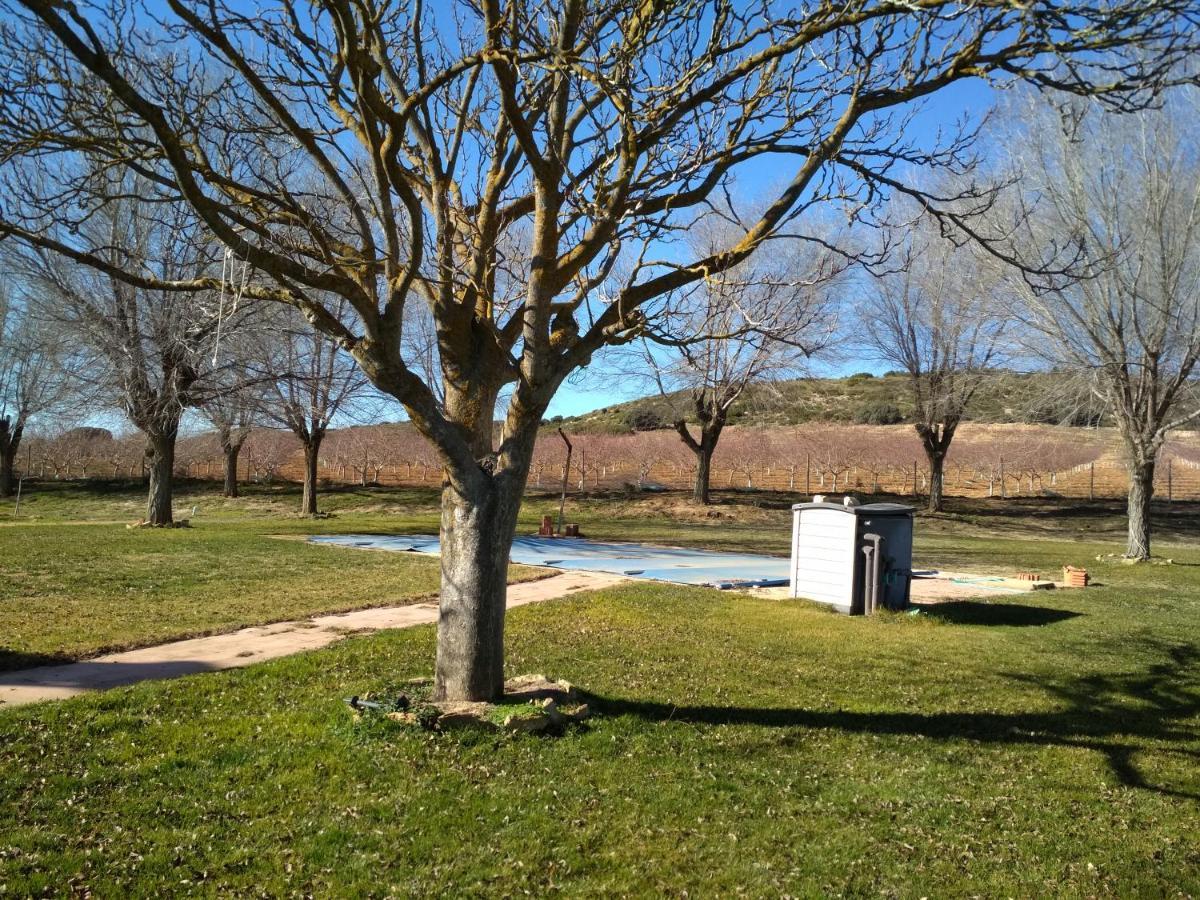 Casa Rural La Galana Albacete Chinchilla de Monte Aragón Kültér fotó