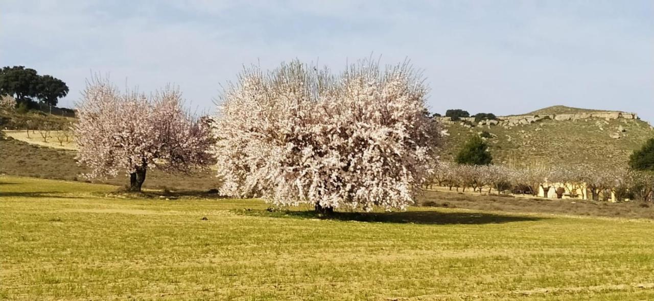 Casa Rural La Galana Albacete Chinchilla de Monte Aragón Kültér fotó