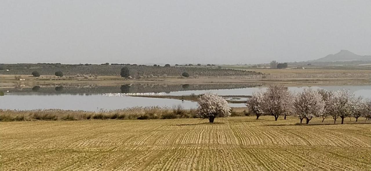 Casa Rural La Galana Albacete Chinchilla de Monte Aragón Kültér fotó